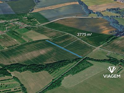 Prodej pole 3775 m²