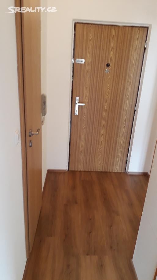 Pronájem bytu 1+1 39 m² – pohled 3