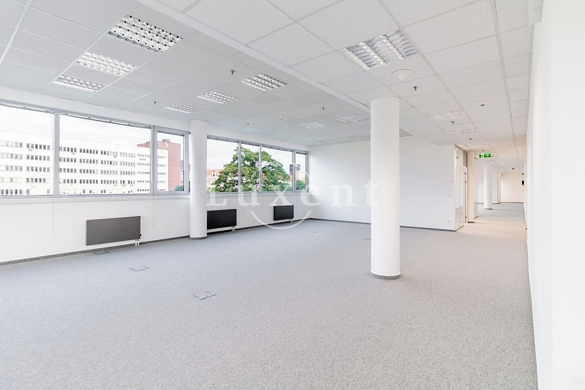 Pronájem kanceláře 291 m² – fotografie 3