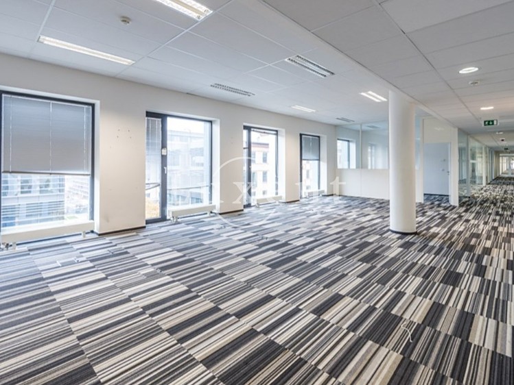 Pronájem komerčního prostoru, 390 m² (4 z 5)