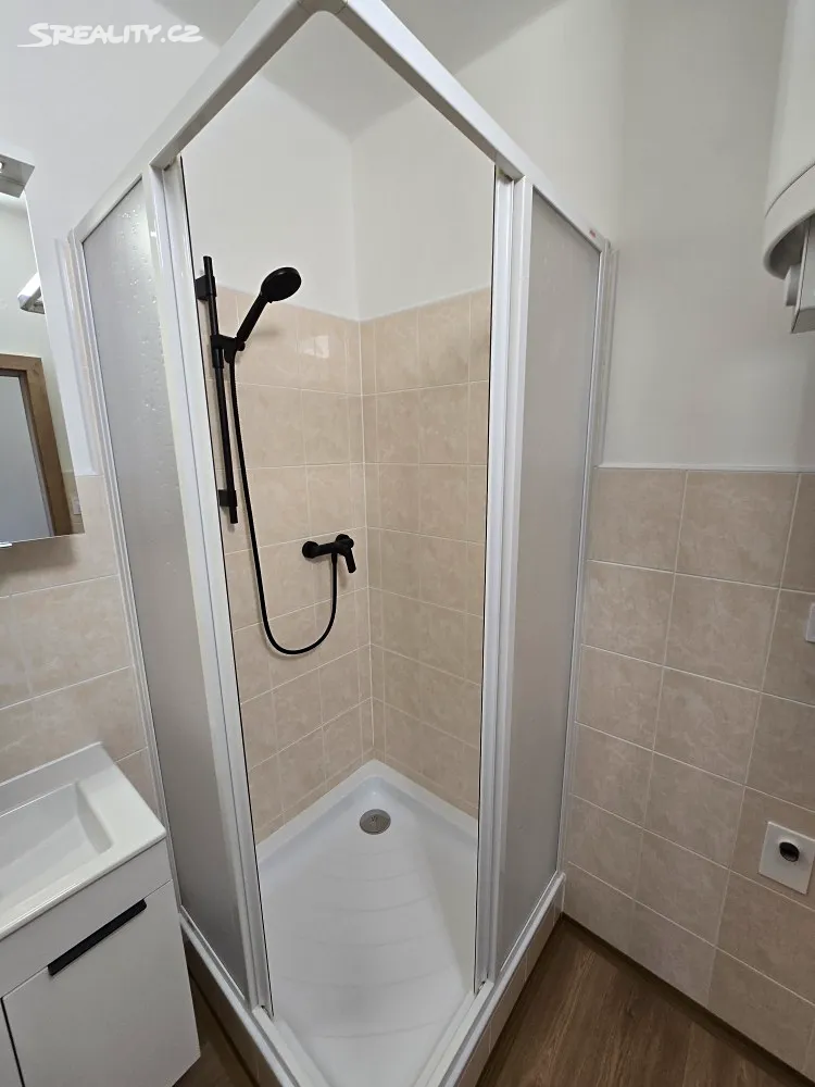Prodej bytu 1+1 40 m² - Więcej