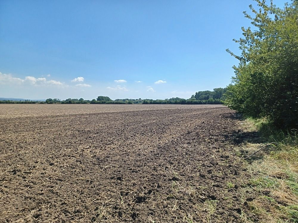 Prodej stavebního pozemku 43000 m²