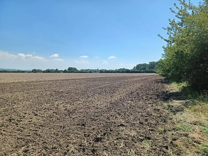 Prodej stavebního pozemku 43000 m², Horka nad Moravou – náhled fotky 1