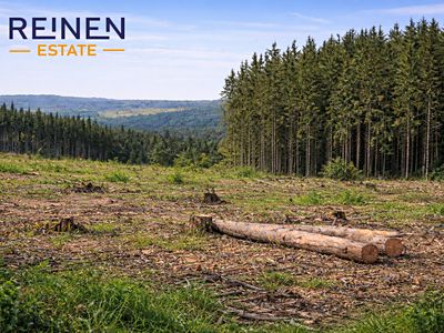 Prodej lesa 14151 m²