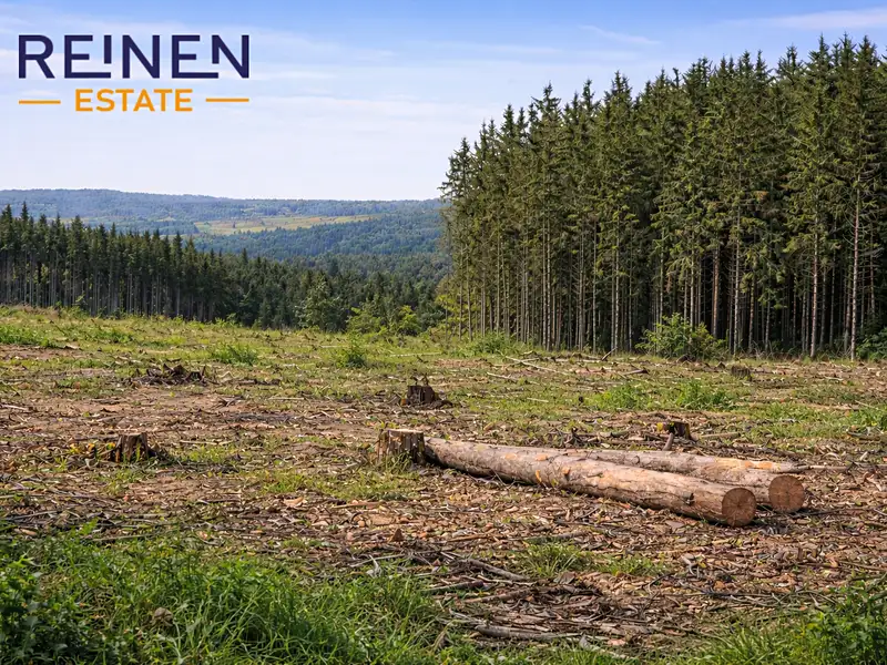 Prodej lesa 14151 m², Řečice – náhled fotky 1