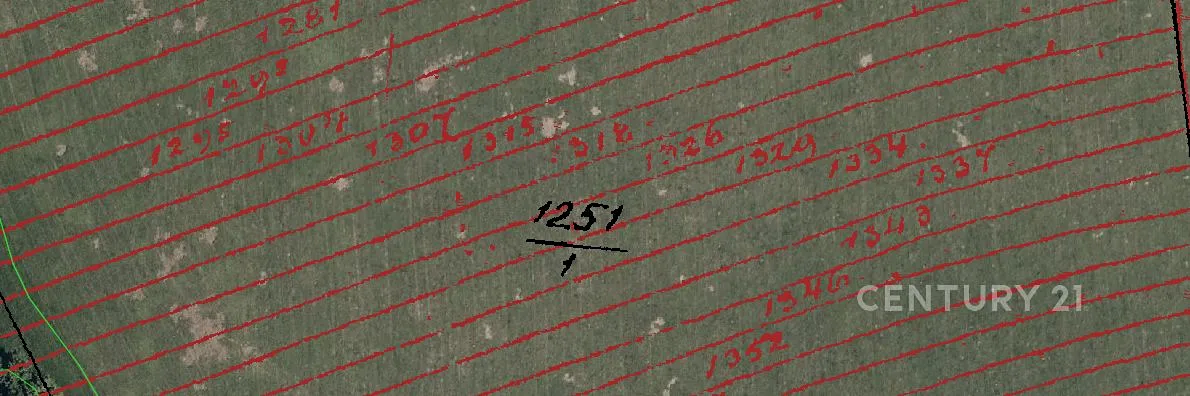 Fotka 9 z 14