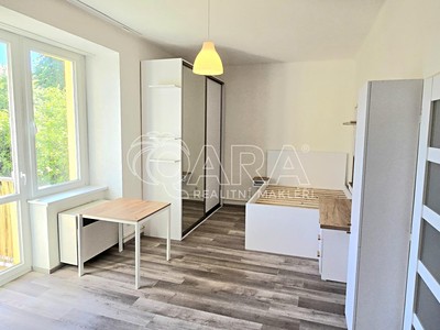 Pronájem bytu 1+1 38 m²