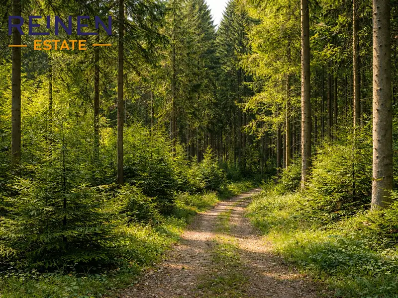 Prodej lesa 24686 m², Vsetín – náhled fotky 1