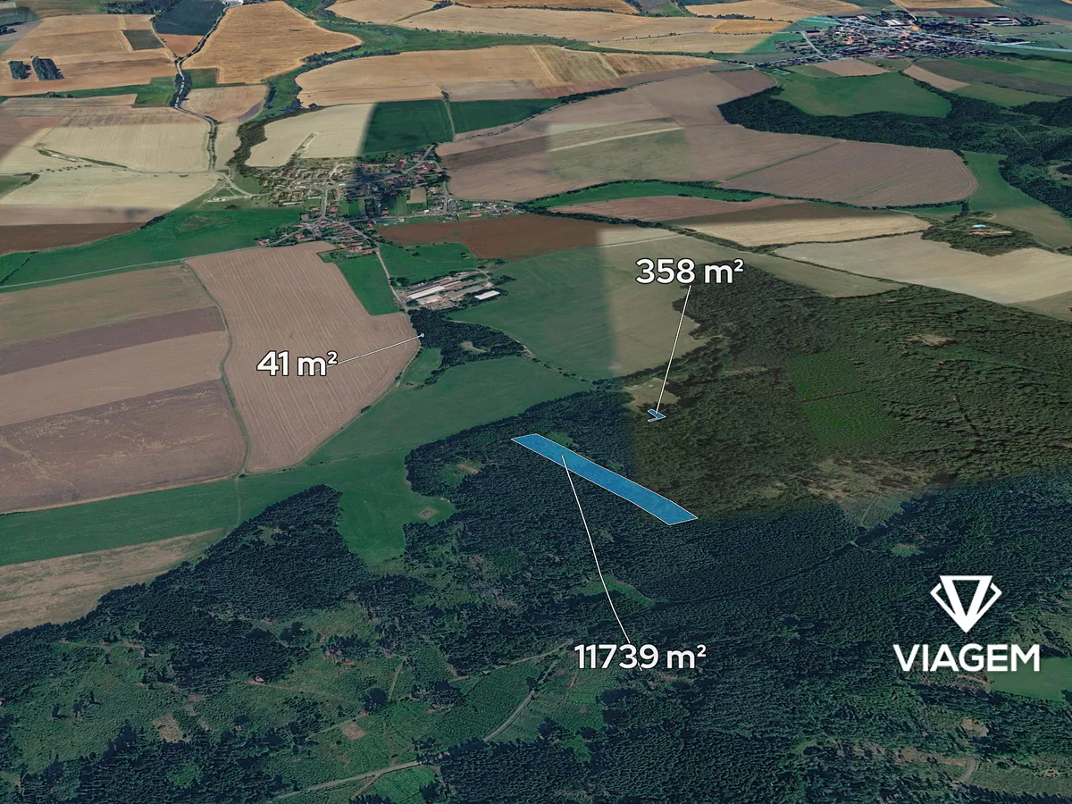 Prodej lesa 12138 m²