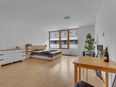 Pronájem bytu 1+kk 46 m²