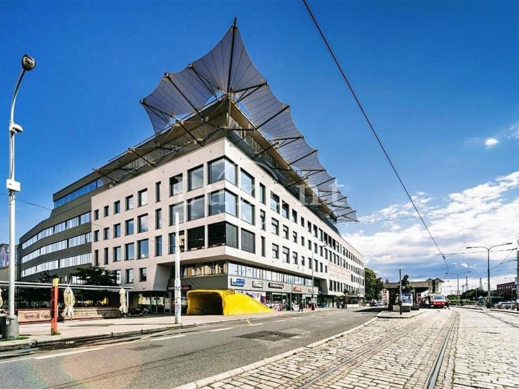 Pronájem komerčního prostoru, 294 m² (1 z 7)