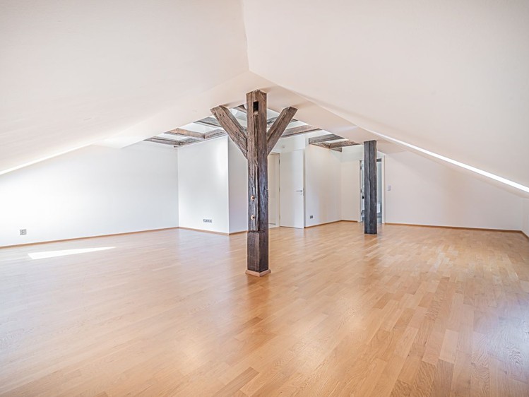 Prodej bytu 5+kk, 256 m² (7 z 18)