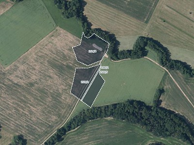 Prodej  louky 6 601 m²