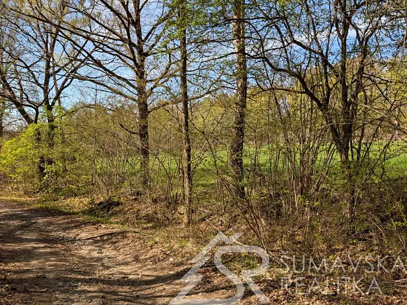 Prodej pozemku 165 m², Sušice – náhled fotky 2