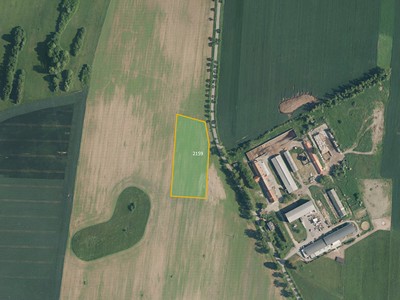 Prodej  pole 4 816 m²