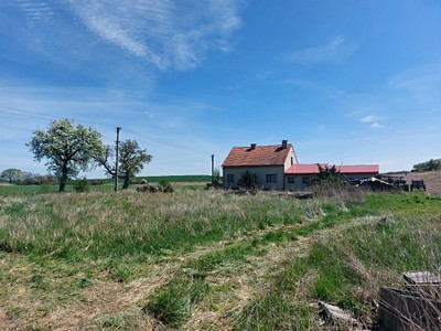 Prodej pozemku, 1 136 m² (3 z 4)
