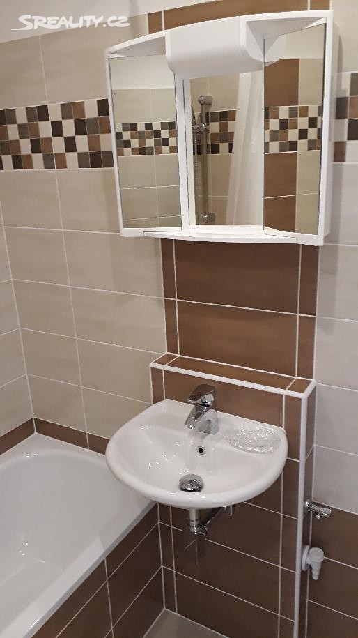 Pronájem bytu 1+1 39 m² – další