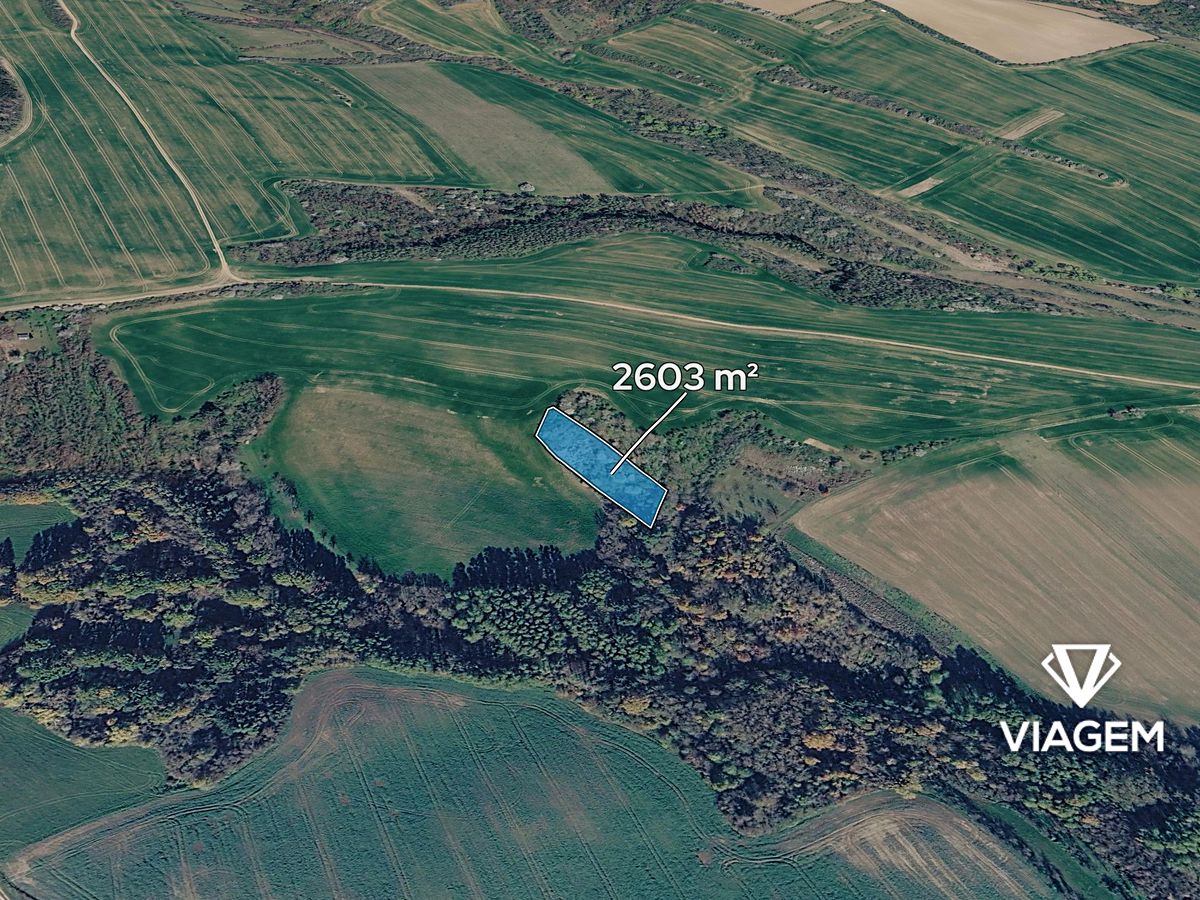 Prodej lesa 2603 m²