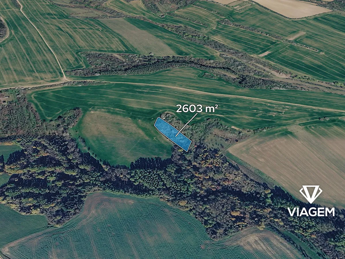 Prodej lesa 2603 m²