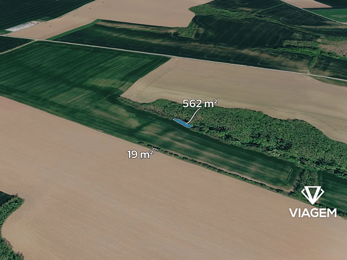 Prodej podílu 2/3 lesa 387 m²