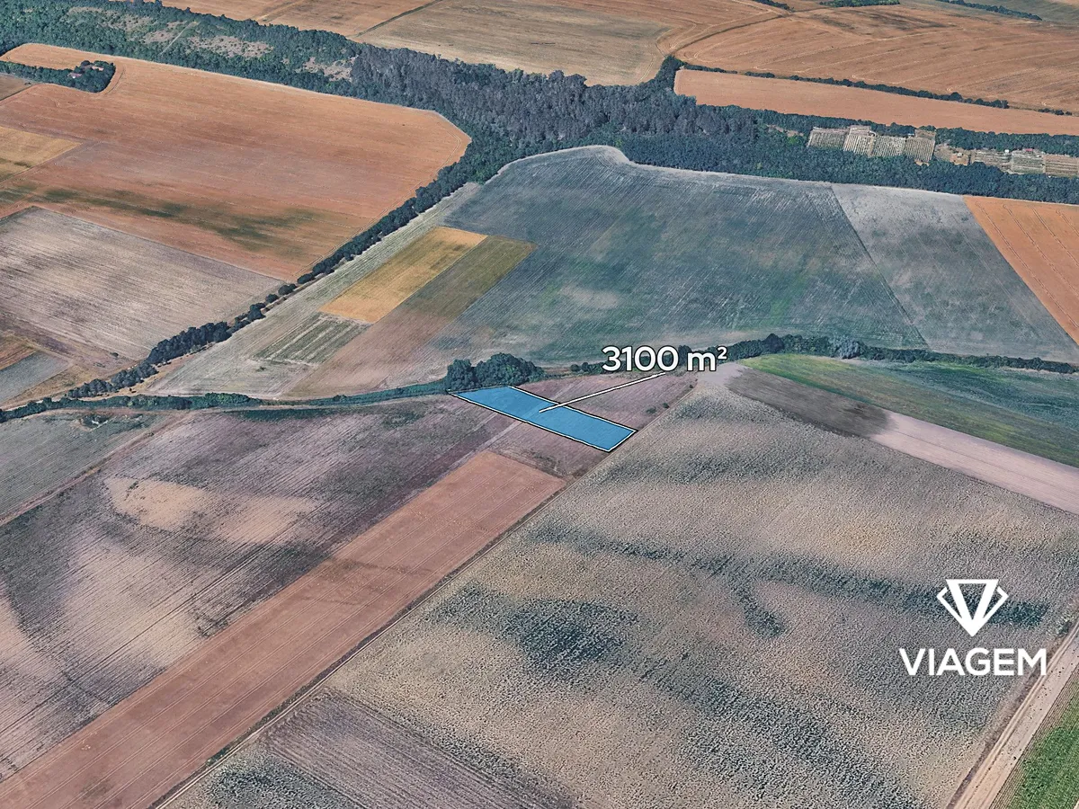 Prodej podílu 1/2 pole 1550 m²