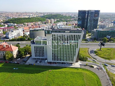 Gewerbefläche zur Miete, 490 m² (2 von 4)