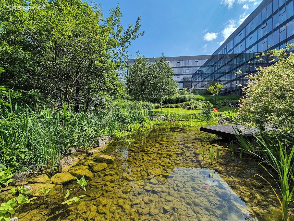 Pronájem kanceláře 446 m² – pohled 4