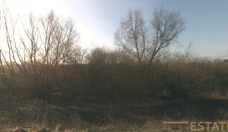 Prodej lesa 4595 m², Stařechovice – náhled fotky 2