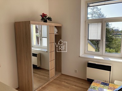 Pronájem bytu 1+kk 14 m² — photo 3