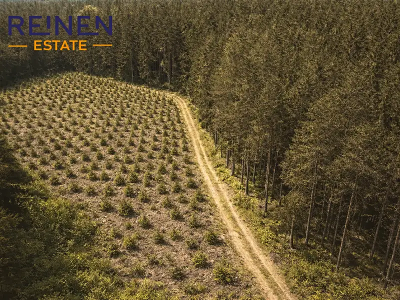 Prodej lesa 38985 m², Křeč – náhled fotky 1