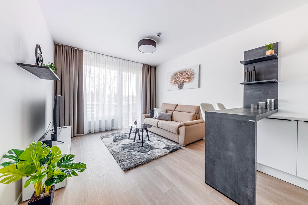 Pronájem bytu 1+kk 30 m²