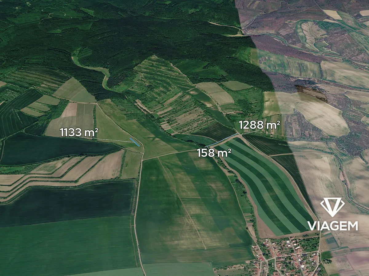 Prodej podílu 1/2 pole 1289 m²