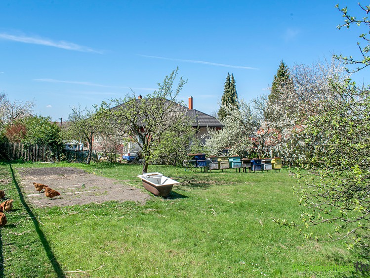 Haus zum Kauf, 80 m² (8 von 18)