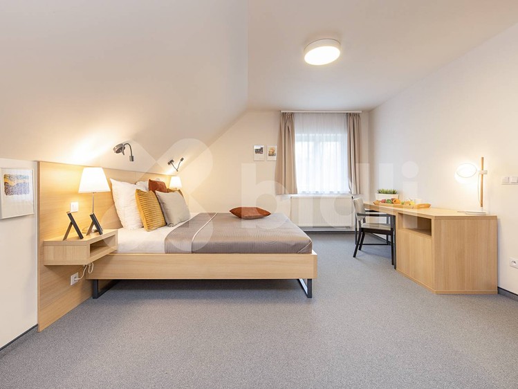 Prodej domu, 370 m² (20 z 32)