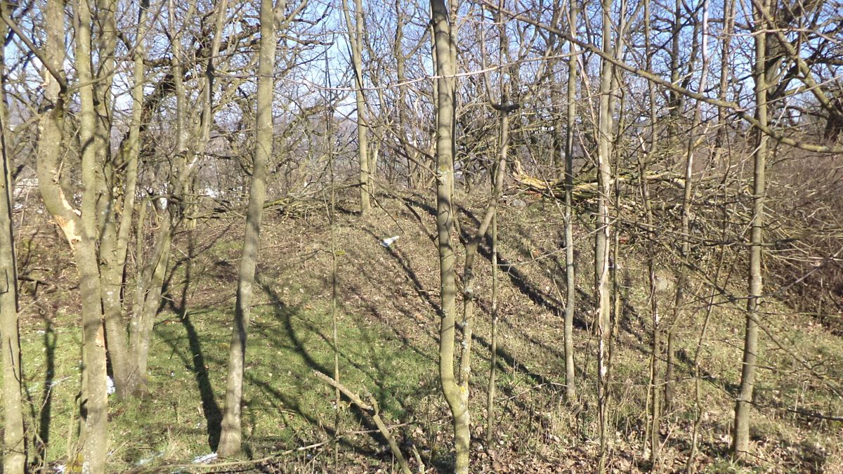 Prodej pozemku 7064 m² – fotografie 3