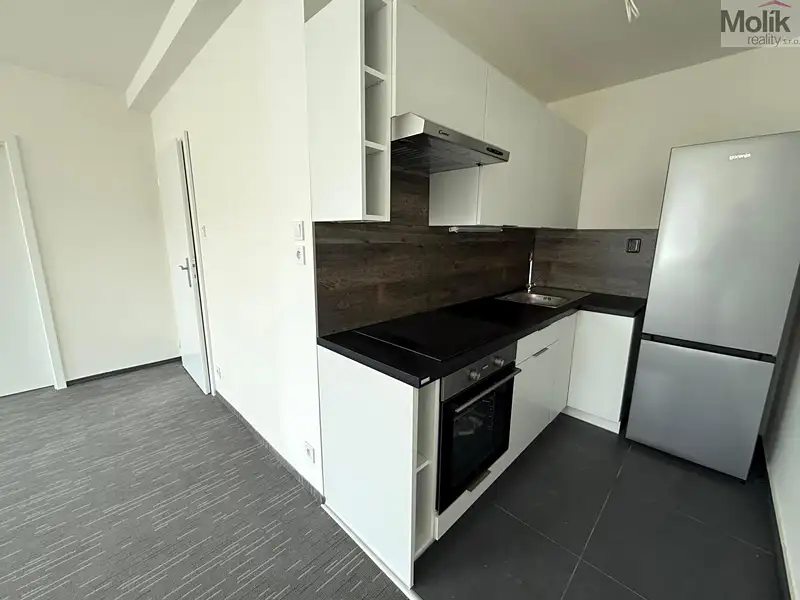 Pronájem bytu 2+kk 50 m², Chomutov – náhled fotky 2