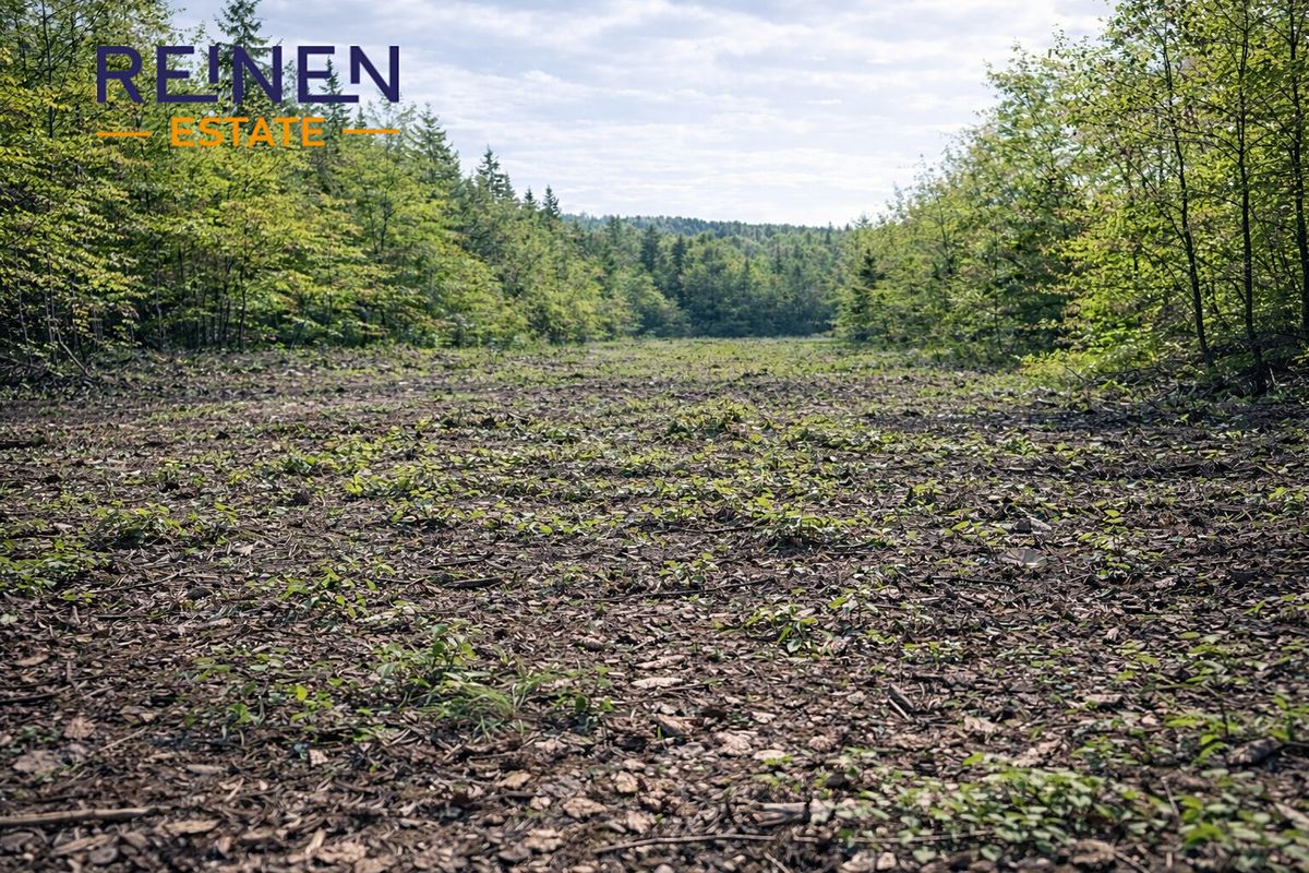 Prodej lesa 14554 m²