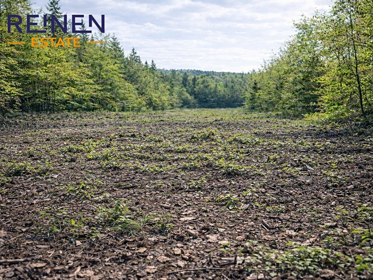 Prodej pozemku, 14 554 m² (1 z 3)