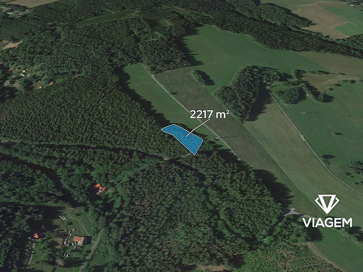 Prodej lesa 2217 m²