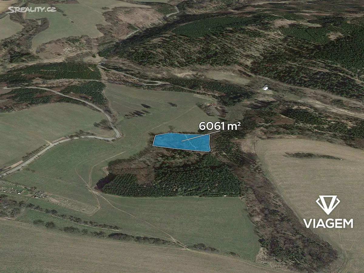 Prodej lesa 6061 m²
