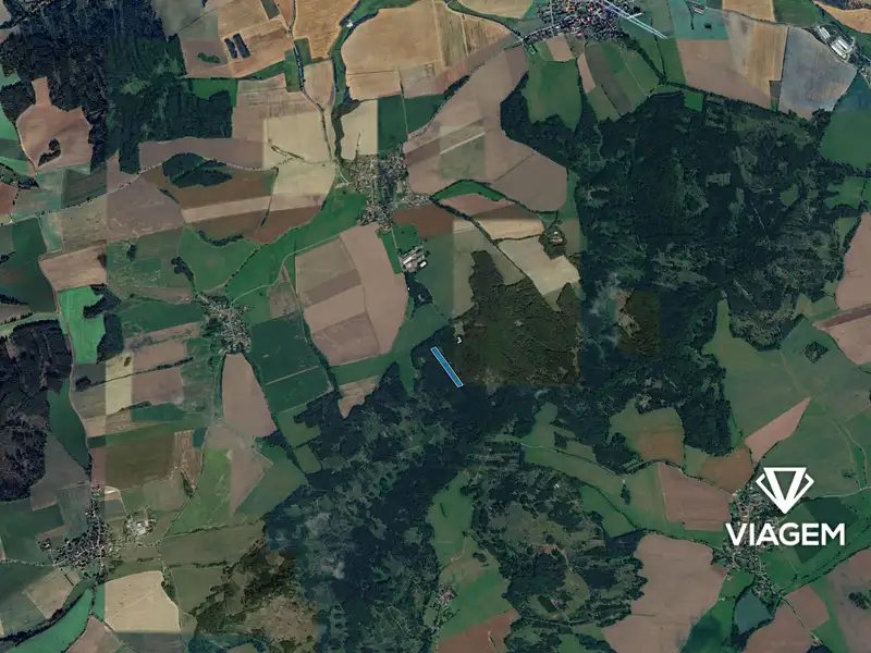 Prodej lesa 12138 m², Hradiště – náhled fotky 3