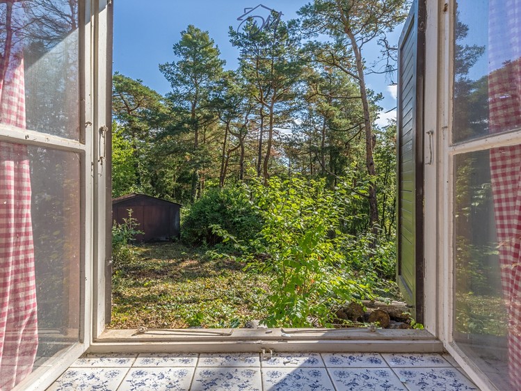 Ділянка на продаж, 3 248 м² (17 з 22)