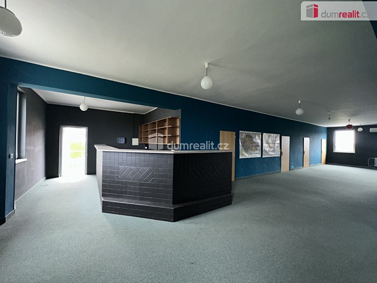 Комерційне приміщення в оренду, 450 м² (8 з 17)