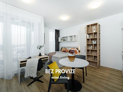 Pronájem bytu 1+kk 36 m²