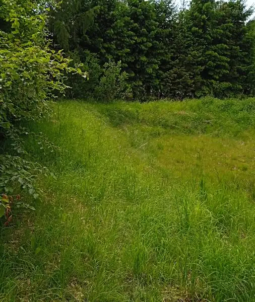 Prodej stavebního pozemku 2212 m², Meziměstí – náhled fotky 3
