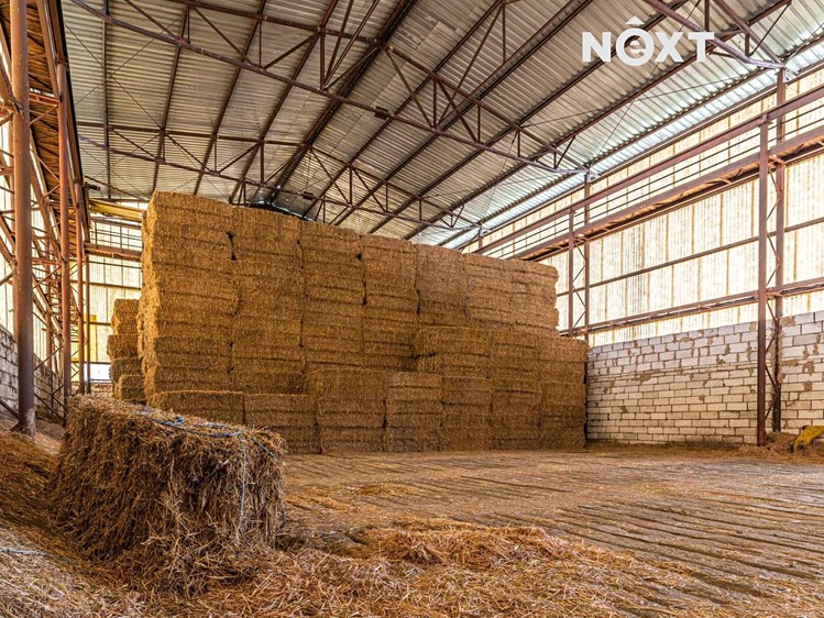 Ділянка на продаж, 42 888 м² (12 з 15)