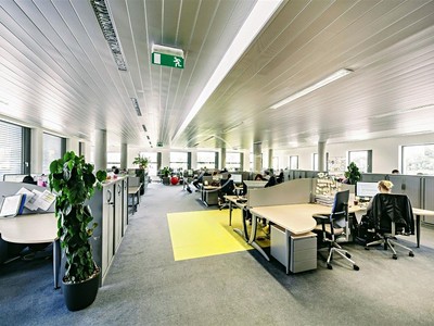 Pronájem komerčního prostoru, 294 m² (2 z 7)
