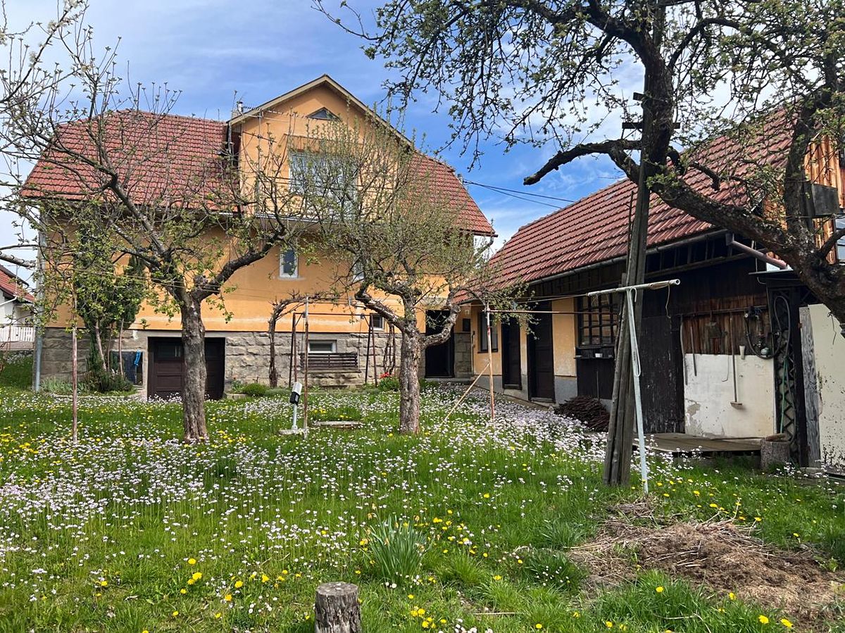 Prodej rodinného domu 362 m², pozemek 559 m² – fotografie 3
