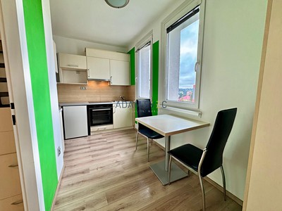 Pronájem bytu 1+1 37 m²