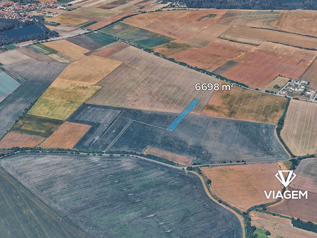 Prodej pole 5925 m², Sudovo Hlavno – fotka 1 z 3